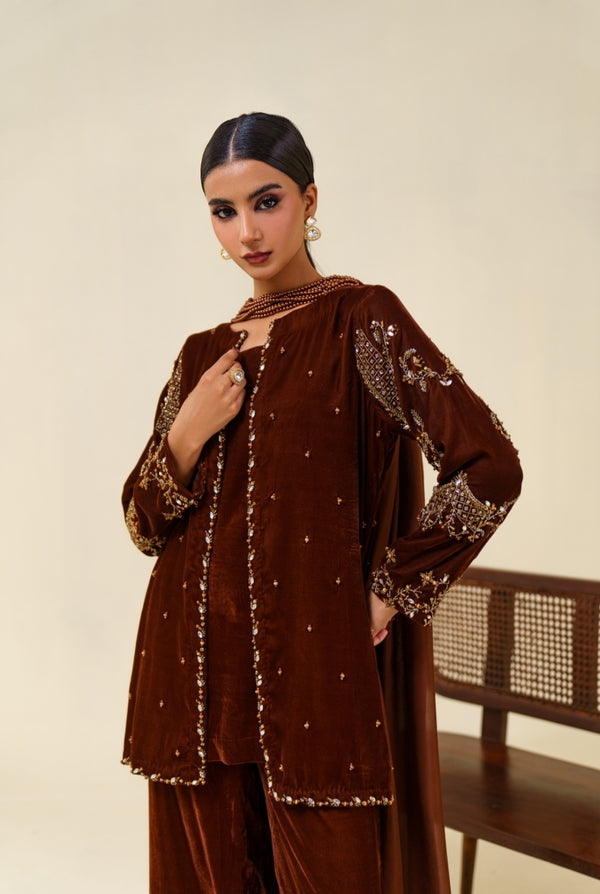 3-Piece Brown Velvet Embroidered