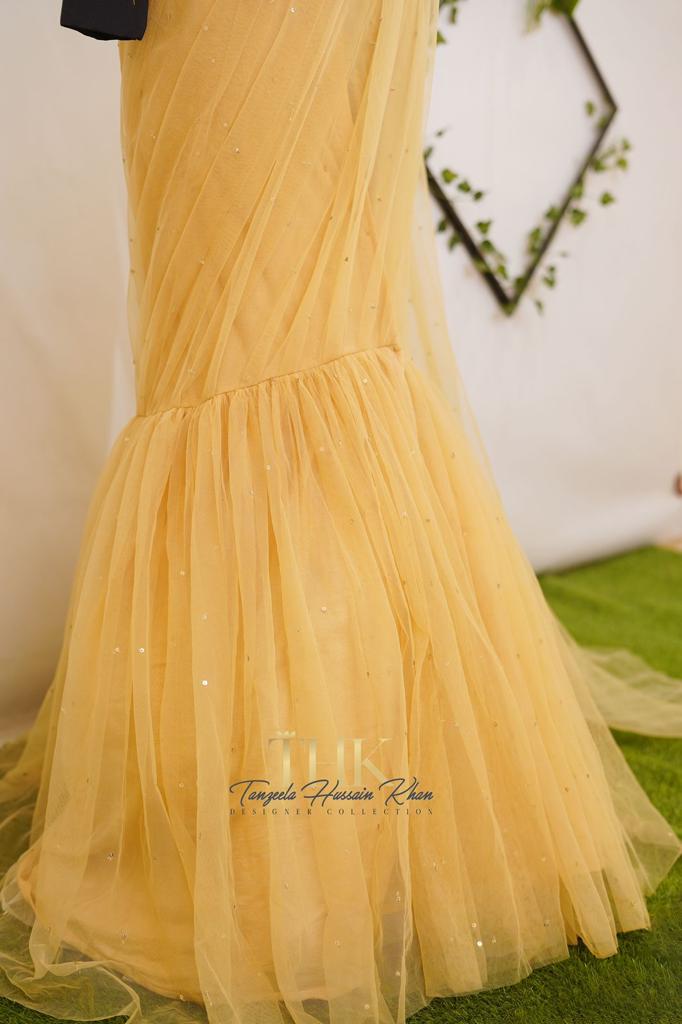 2-piece Skin Net Fish Saree TAN-0826